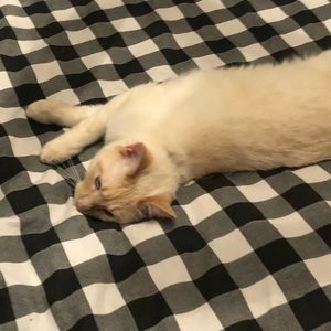 Meet your Posher, Katie